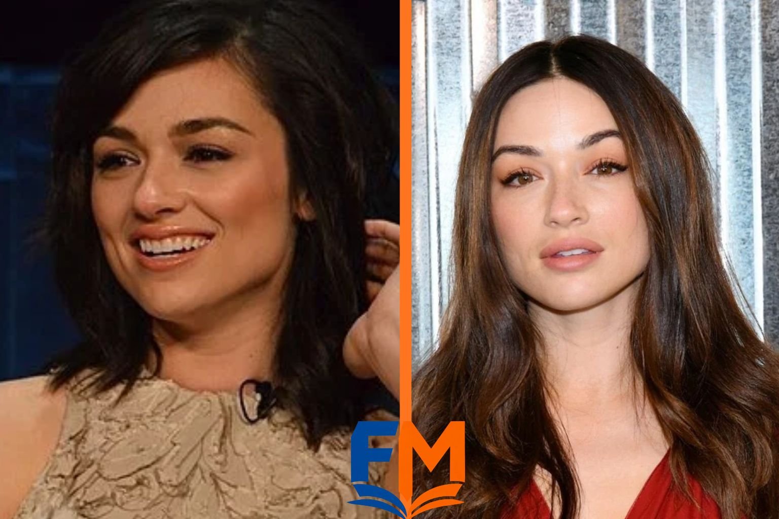 Timeline of Peter Nottoli and Crystal Reed: 2008 marriage, 2011 divorce filing, 2012 final divorce